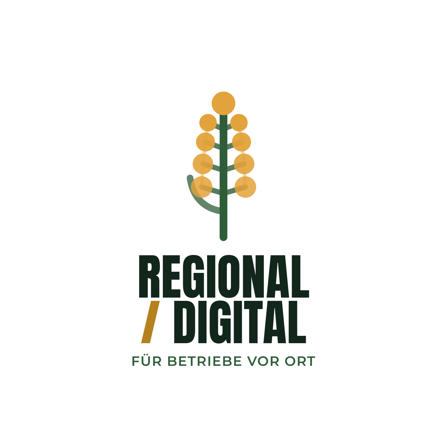 Logo der Skool-Community Regional / Digital für Betriebe vor Ort